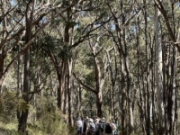 Fryers Ridge walk-Liz Martin