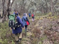 Intrepid walkers, Salters Creek Irishtown-Lisa Hall