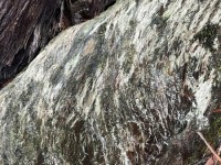 Beautiful rocks, Salters Creek, Irishtown-Lisa Hall