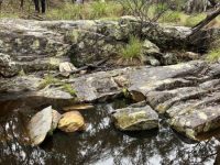 Refuge pools, Salters Creek, Irishtown-Liz Martin
