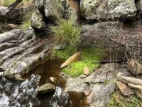 Refuge pools, Salters Creek, Irishtown-Liz Martin