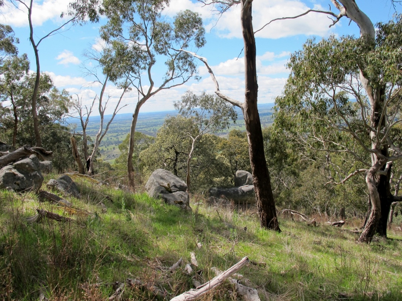 Mount Alexander: its granite ridges were once covered with a variety of trees, especially Banksias and Casuarinas.