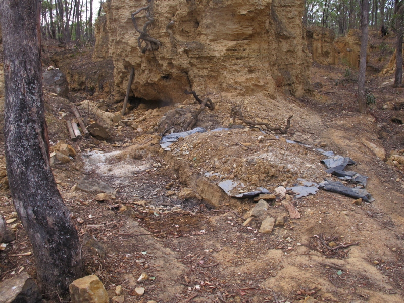 Prospecting damage, German Gully: VEAC's report was critical of the lack of data surrounding this activity, in spite of past government promises of monitoring. The Council made three strong recommendations for monitoring, supervision and research: it remains to be seen how seriously they'll be taken.