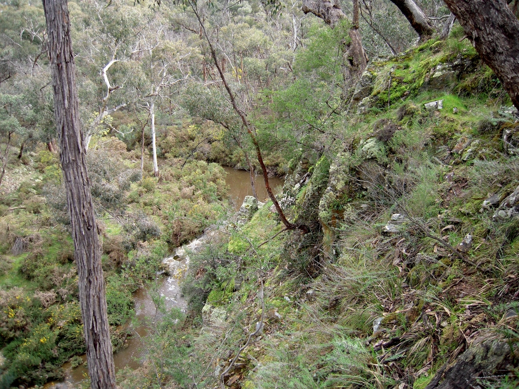 Middleton Creek, declared a 'high value ecosystem area' in the government's risk management strategy. here's a question: is 'risk management' compatible with a blunt policy of burning five per cent of public land?