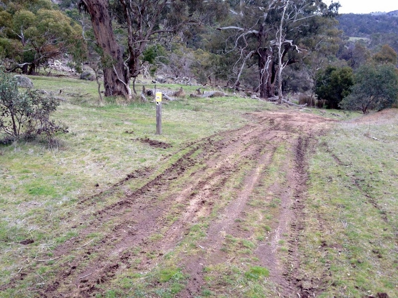 Moto  and 4WD curse attacks the Mount: Ballantinia Track at the Goldfields Track junction.  There's no lack of good ideas about dealing with this menace. What's lacking, as usual, are the resources. Photo: Andy Bos