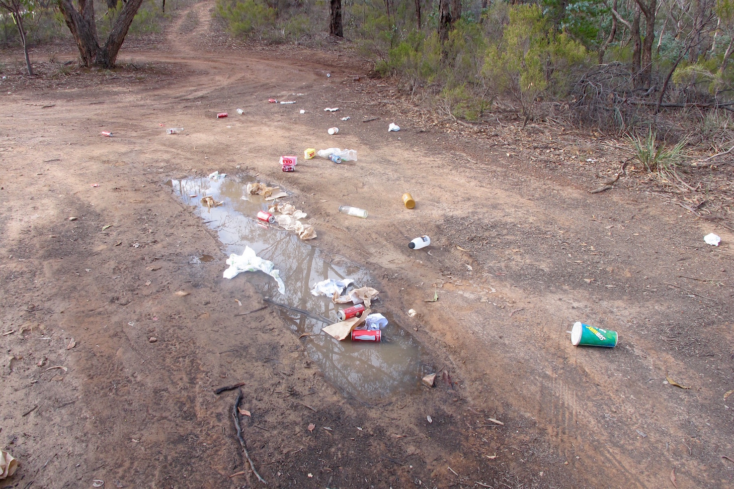 Rubbish strewn over the track opposite Kalimna Point. A couch has been pushed into the bush nearby. This track has to be frequently cleaned by Parks Victoria, at the taxpayers' expense.