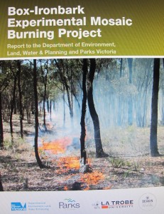 mosaic burning project (787x1024)