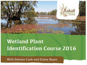 wetland plant id course