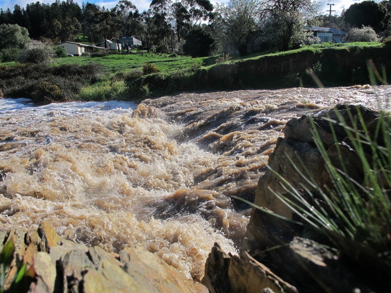 Forest Creek near North Street Chewton, September 14: held into a narrow channel by walls, the creek makes an impressive set of rapids.